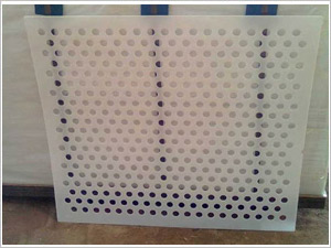塑料板沖孔網(wǎng)